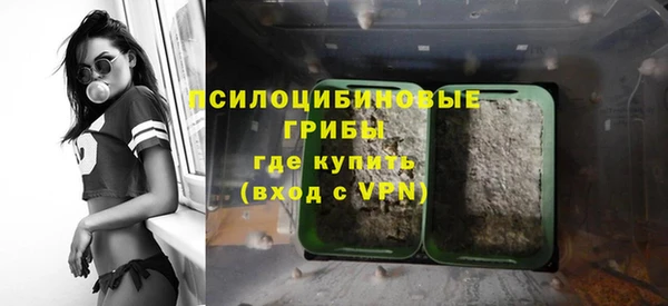 винт Алексеевка