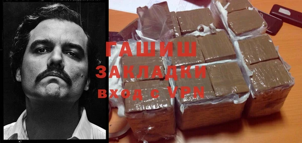 индика Слюдянка
