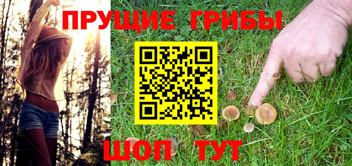 Галлюциногенные грибы прущие грибы  Псилоцибиновые грибы Psilocybe  Вход с VPN  Изобильный 